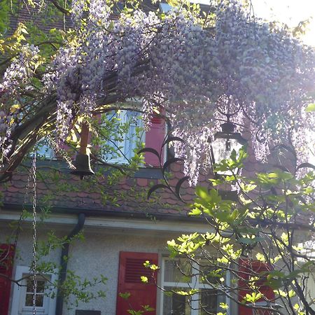 Pension Zur Rose Weil am Rhein Zewnętrze zdjęcie